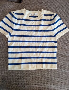 Zara Cream and Blue Striped Knit Short Sleeve Top L